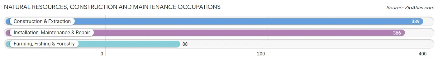 Natural Resources, Construction and Maintenance Occupations in Zip Code 49080