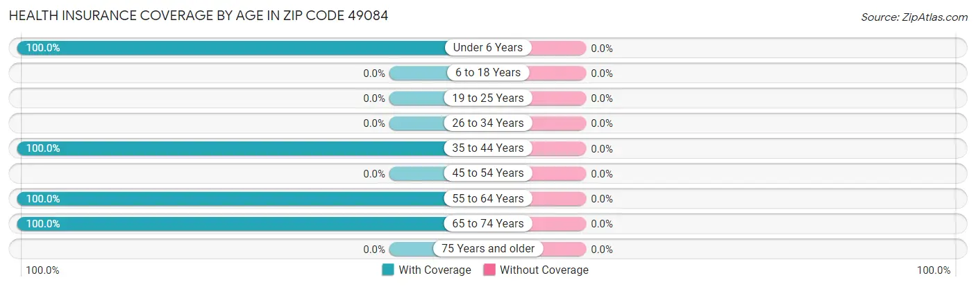 Health Insurance Coverage by Age in Zip Code 49084