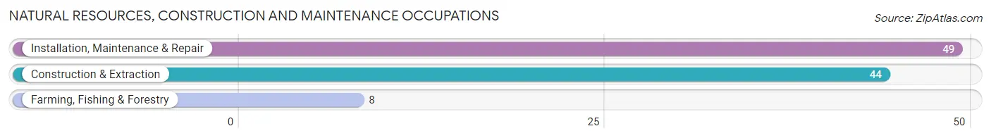 Natural Resources, Construction and Maintenance Occupations in Zip Code 49102