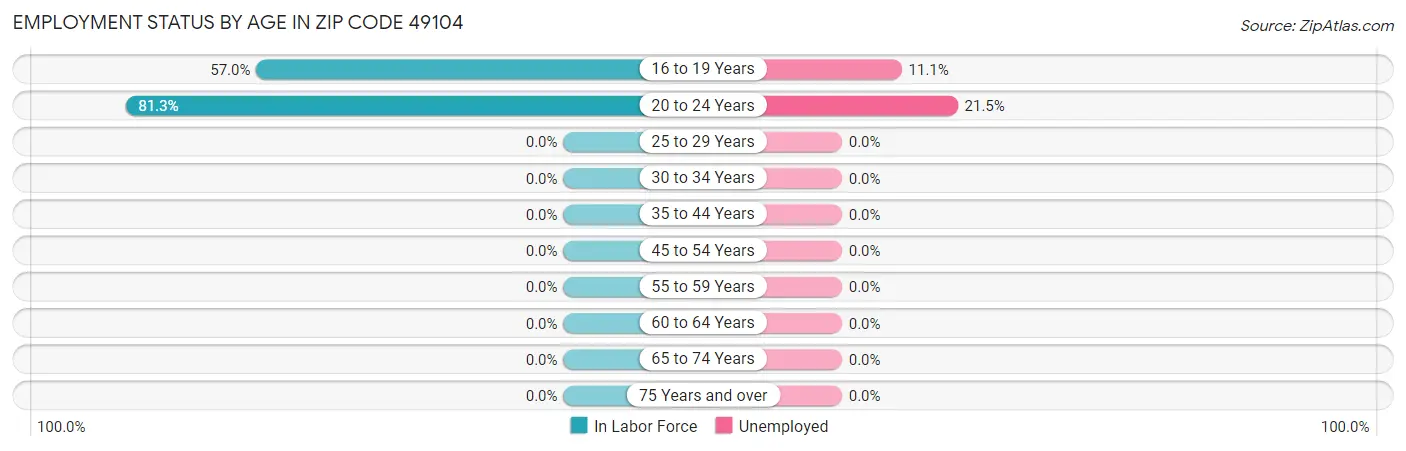 Employment Status by Age in Zip Code 49104