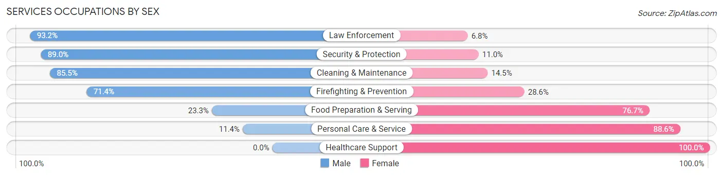 Services Occupations by Sex in Zip Code 49251
