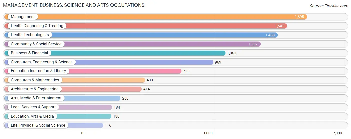 Management, Business, Science and Arts Occupations in Zip Code 49301