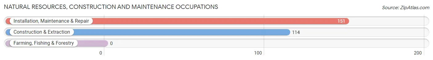 Natural Resources, Construction and Maintenance Occupations in Zip Code 49301