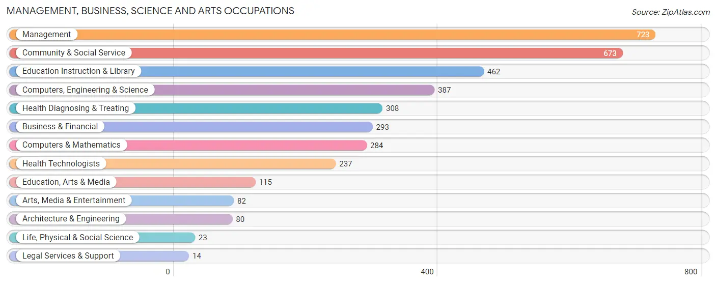 Management, Business, Science and Arts Occupations in Zip Code 49302