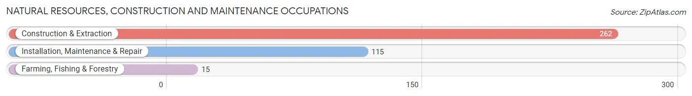 Natural Resources, Construction and Maintenance Occupations in Zip Code 49302