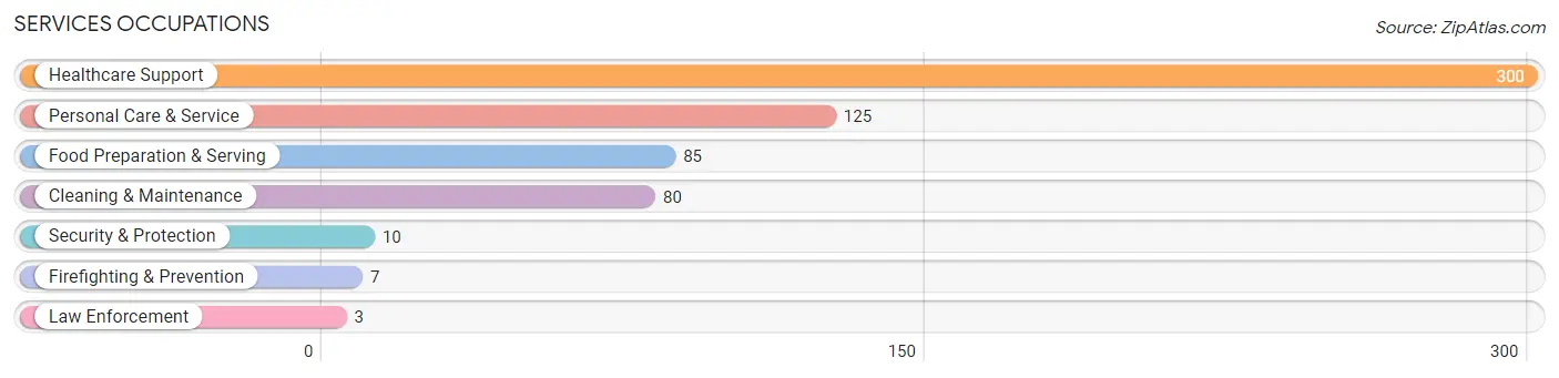 Services Occupations in Zip Code 49329