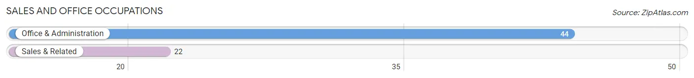 Sales and Office Occupations in Zip Code 49339