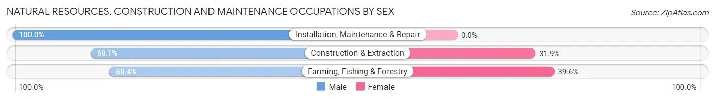 Natural Resources, Construction and Maintenance Occupations by Sex in Zip Code 49403
