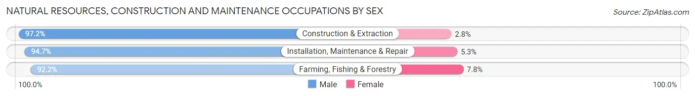 Natural Resources, Construction and Maintenance Occupations by Sex in Zip Code 49426