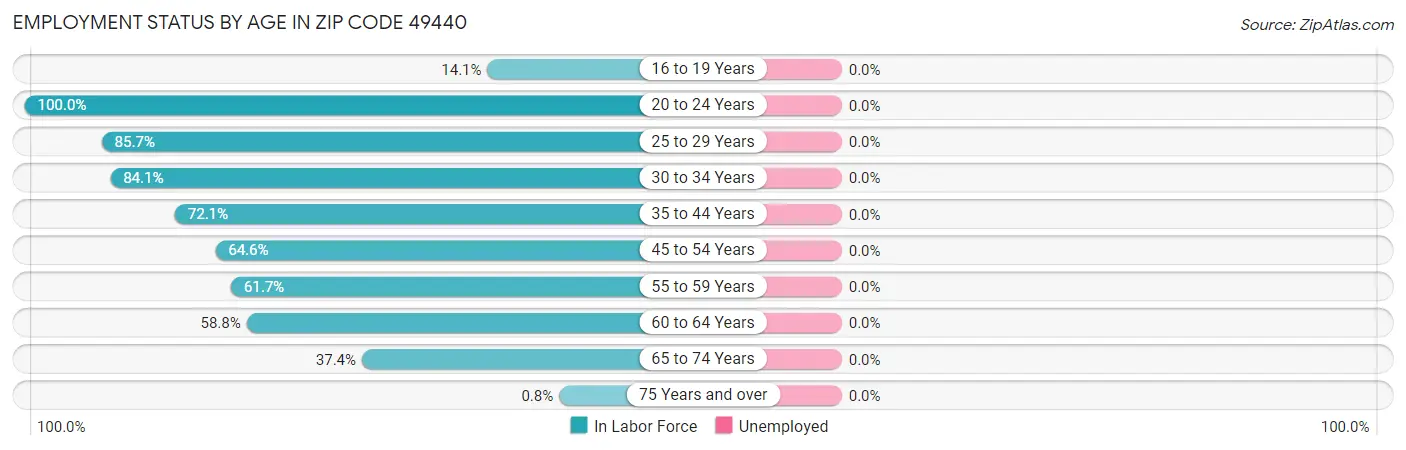 Employment Status by Age in Zip Code 49440