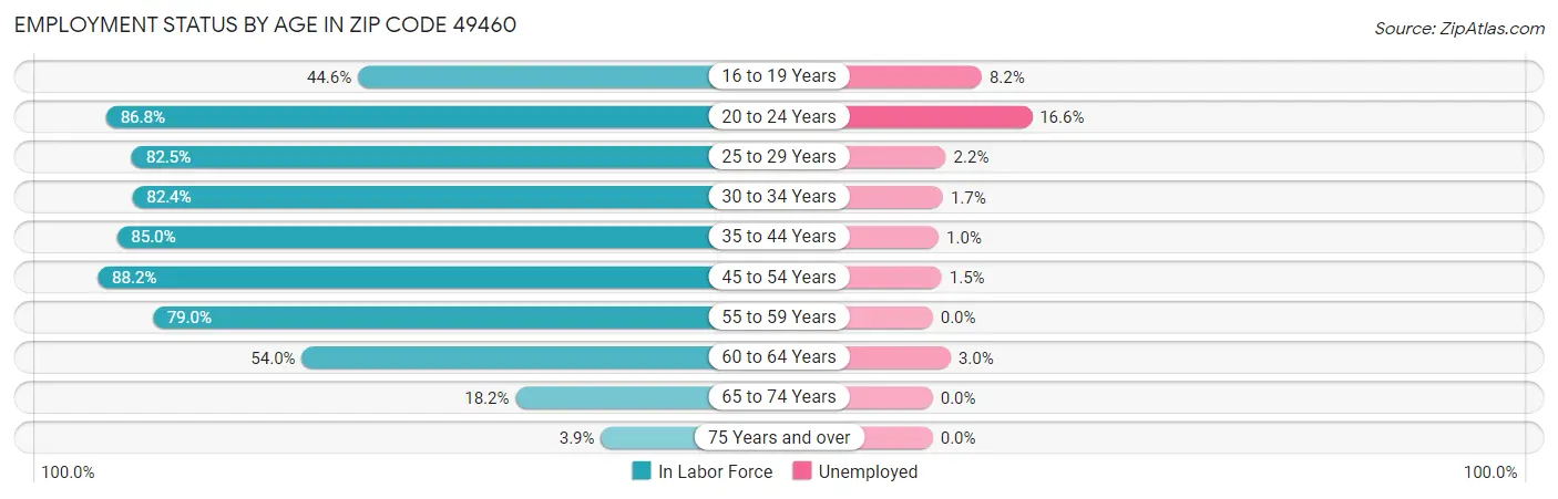 Employment Status by Age in Zip Code 49460