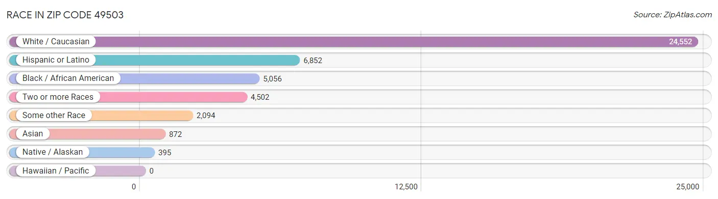 Race in Zip Code 49503