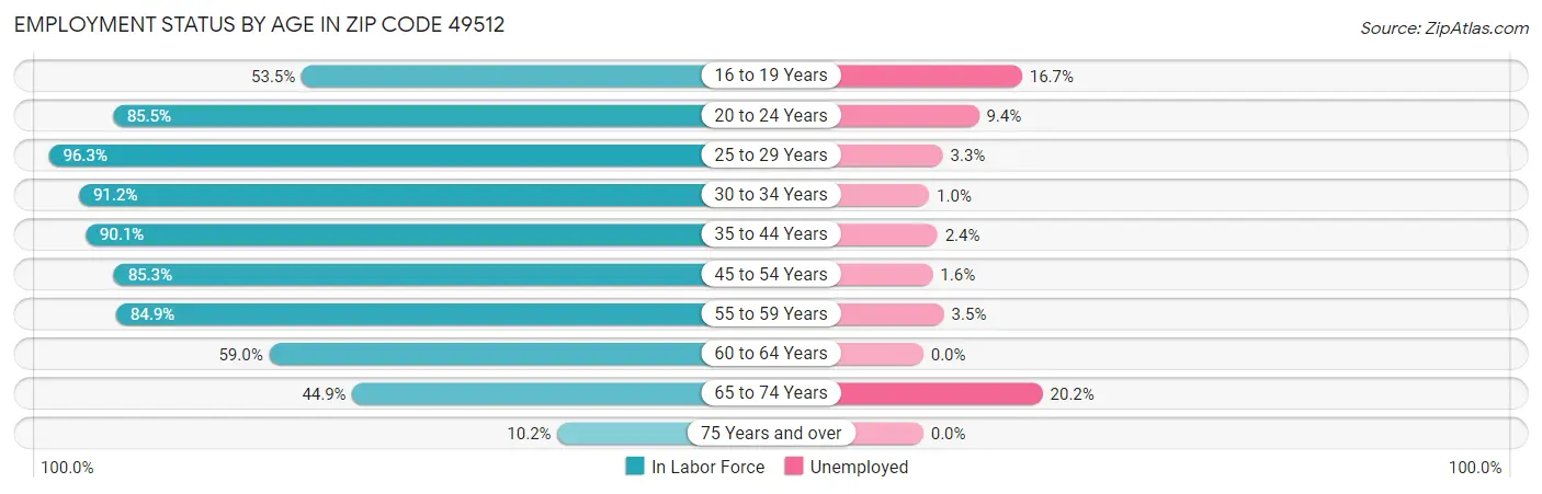 Employment Status by Age in Zip Code 49512