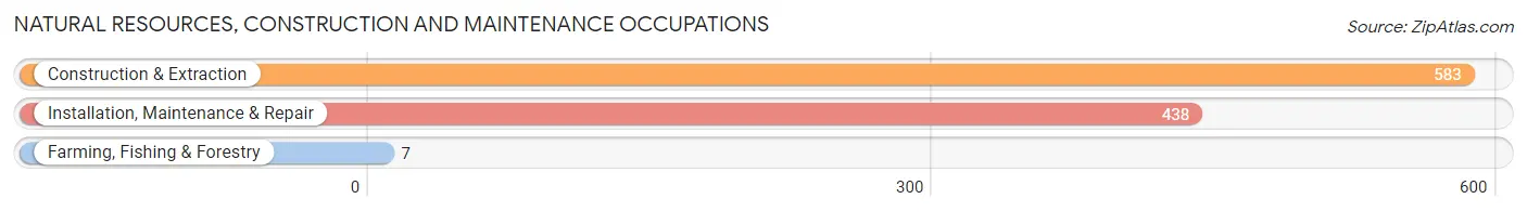 Natural Resources, Construction and Maintenance Occupations in Zip Code 49525