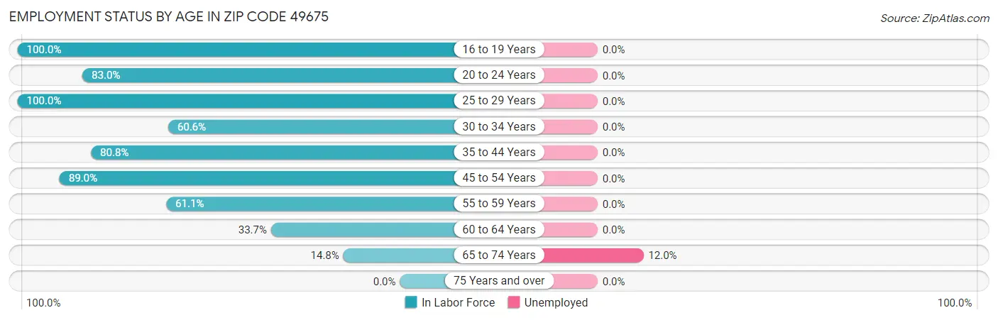 Employment Status by Age in Zip Code 49675