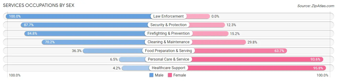 Services Occupations by Sex in Zip Code 49707