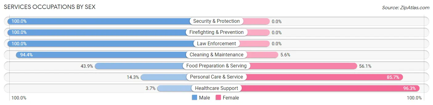 Services Occupations by Sex in Zip Code 49713