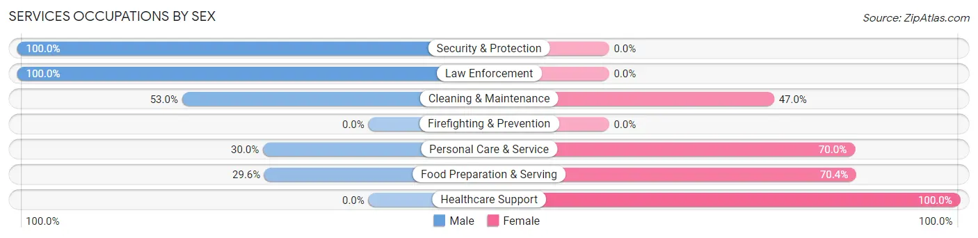 Services Occupations by Sex in Zip Code 49749