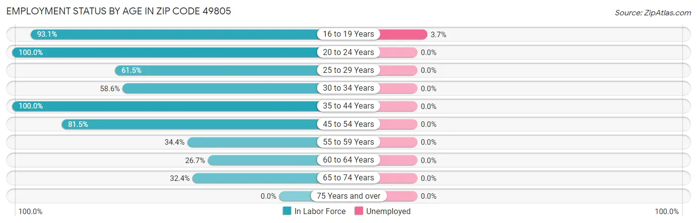 Employment Status by Age in Zip Code 49805