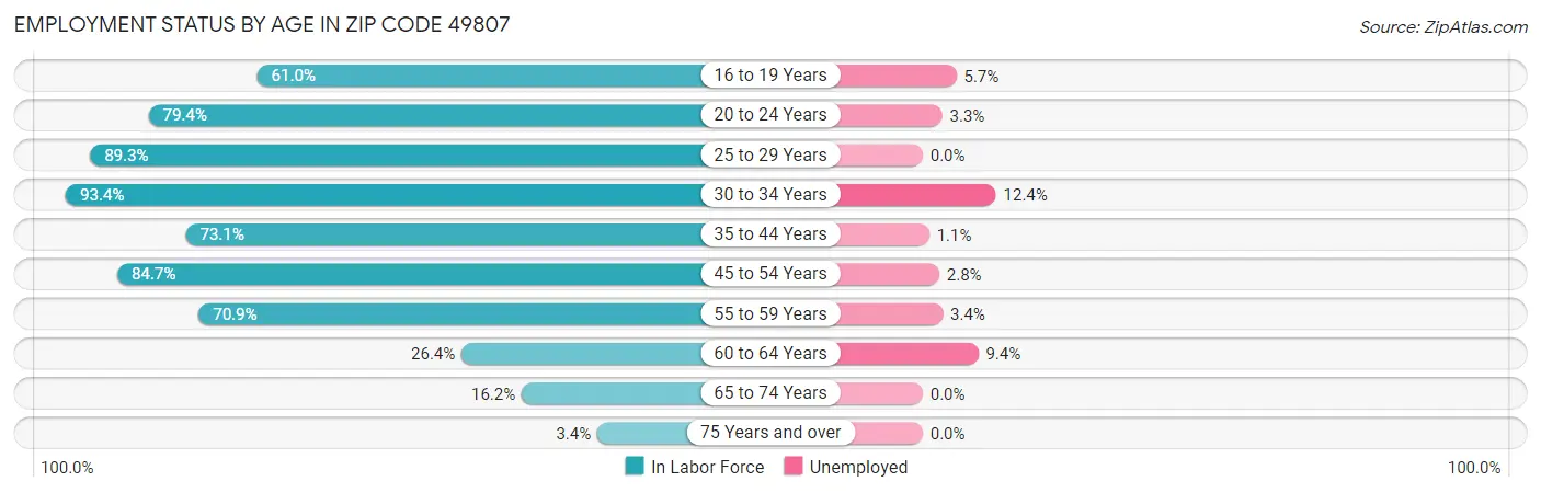 Employment Status by Age in Zip Code 49807