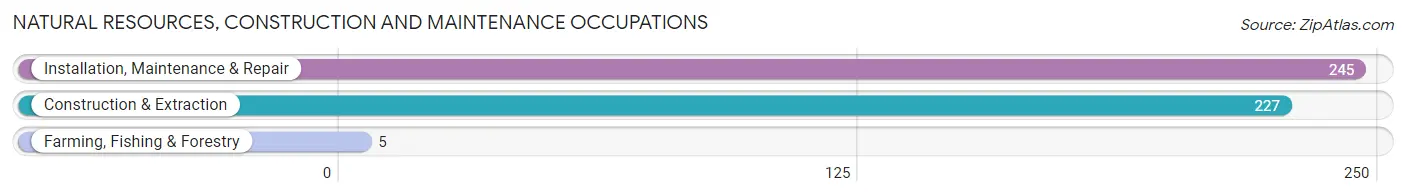 Natural Resources, Construction and Maintenance Occupations in Zip Code 49866