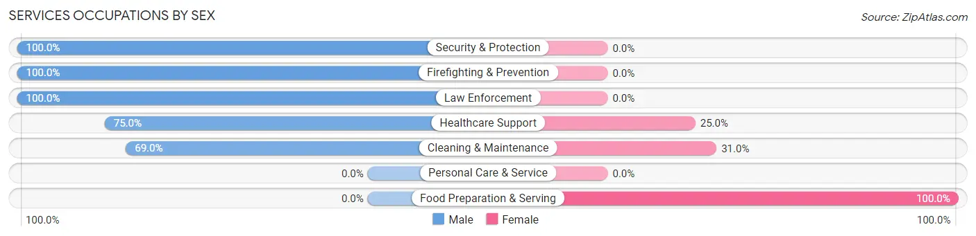 Services Occupations by Sex in Zip Code 49871