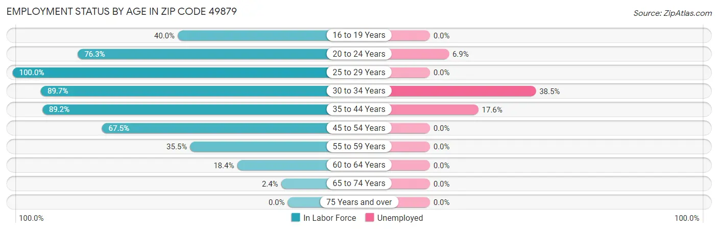 Employment Status by Age in Zip Code 49879
