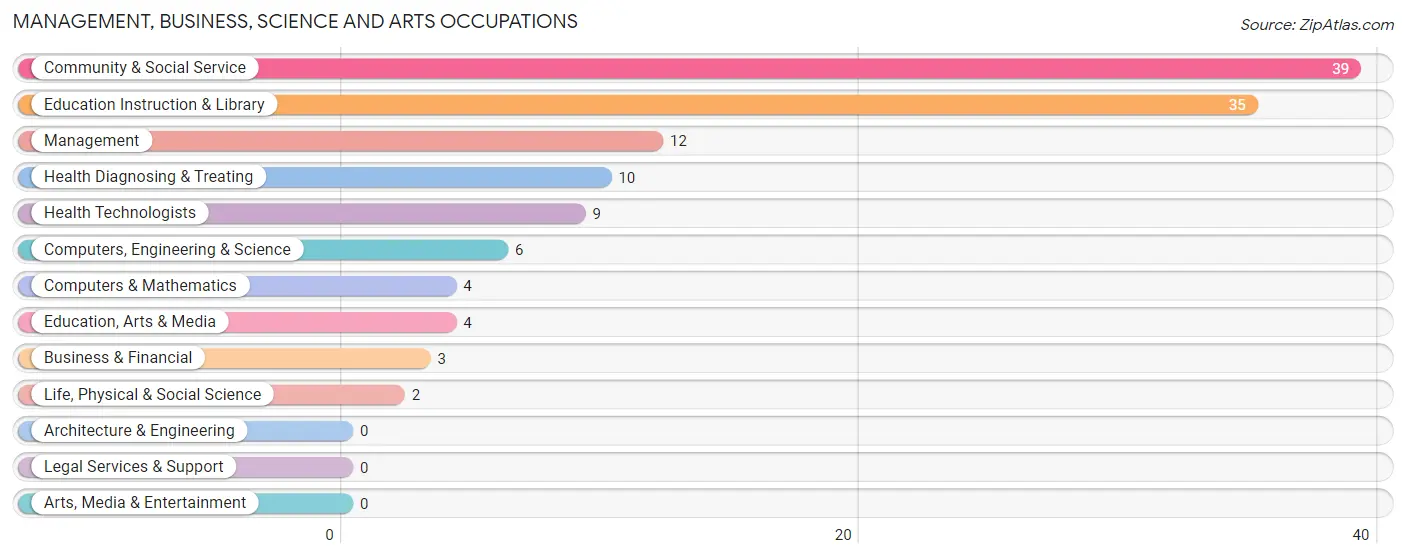 Management, Business, Science and Arts Occupations in Zip Code 49891