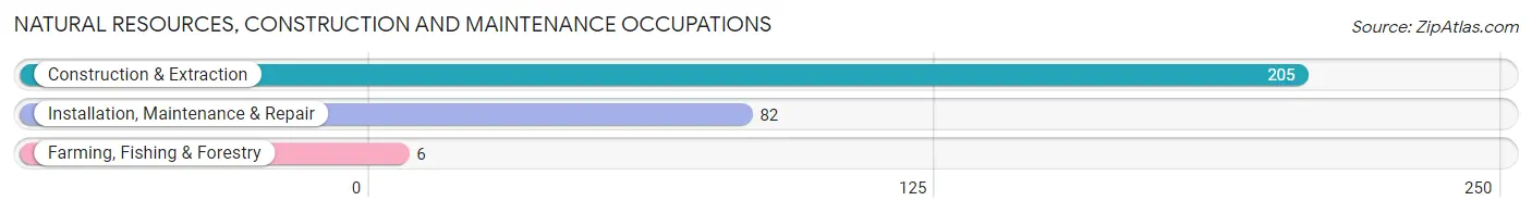 Natural Resources, Construction and Maintenance Occupations in Zip Code 49913