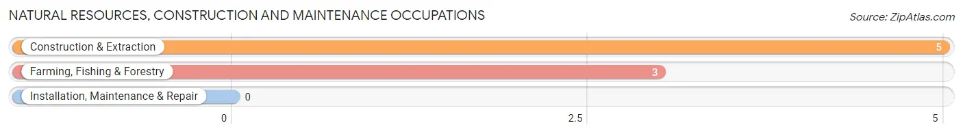 Natural Resources, Construction and Maintenance Occupations in Zip Code 49917