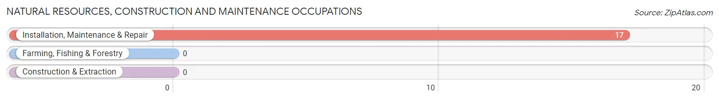 Natural Resources, Construction and Maintenance Occupations in Zip Code 49921