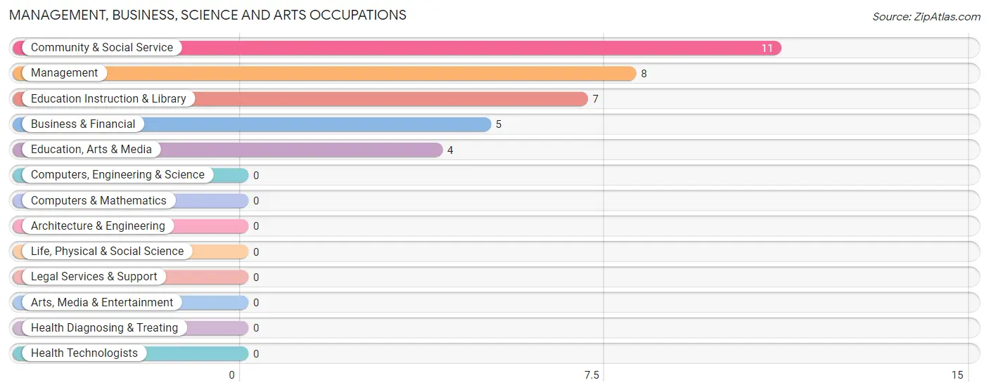 Management, Business, Science and Arts Occupations in Zip Code 49955