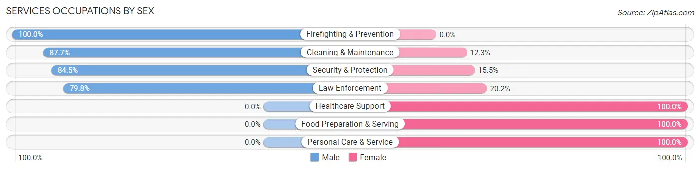 Services Occupations by Sex in Zip Code 50035