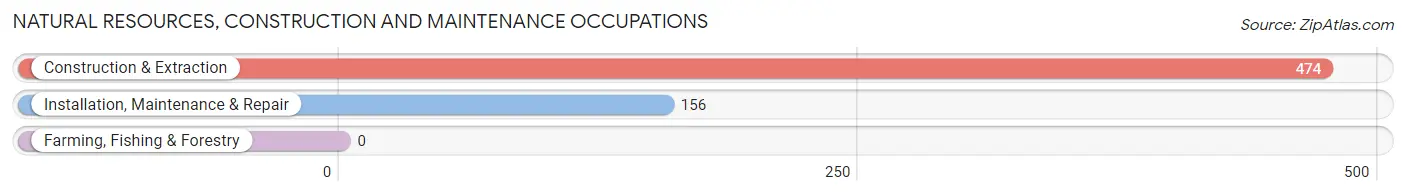 Natural Resources, Construction and Maintenance Occupations in Zip Code 50111