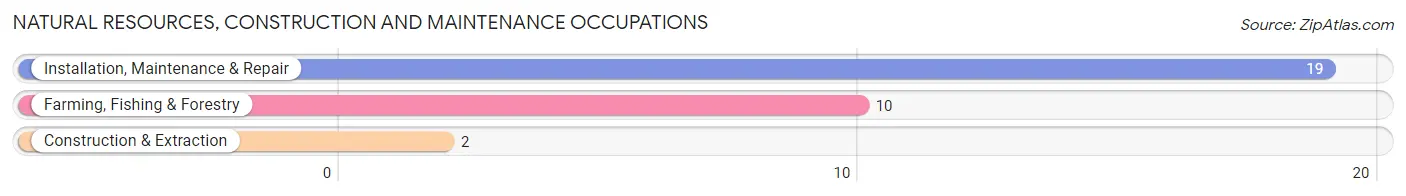 Natural Resources, Construction and Maintenance Occupations in Zip Code 50157