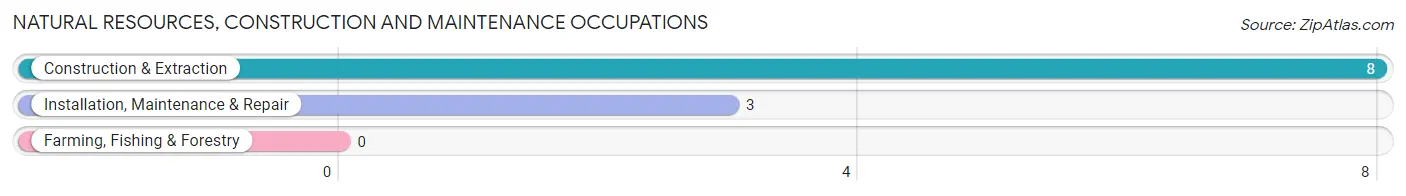 Natural Resources, Construction and Maintenance Occupations in Zip Code 50520