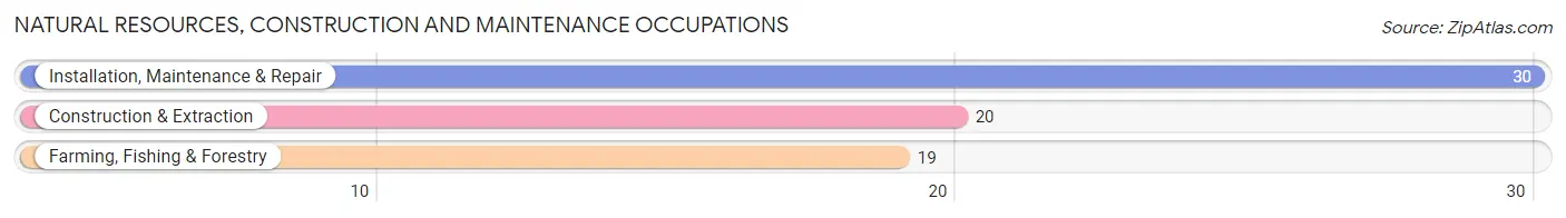 Natural Resources, Construction and Maintenance Occupations in Zip Code 50532