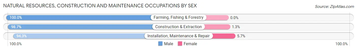Natural Resources, Construction and Maintenance Occupations by Sex in Zip Code 50629