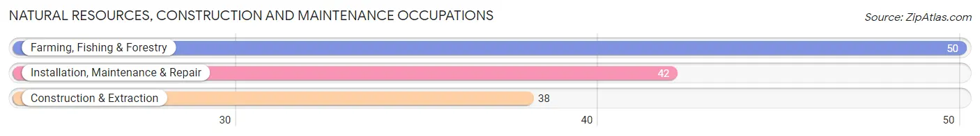 Natural Resources, Construction and Maintenance Occupations in Zip Code 51034