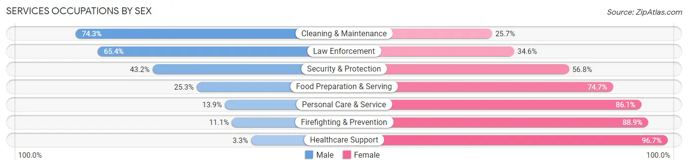 Services Occupations by Sex in Zip Code 51041