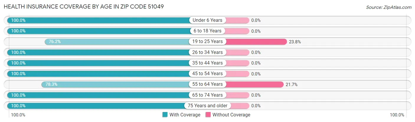 Health Insurance Coverage by Age in Zip Code 51049