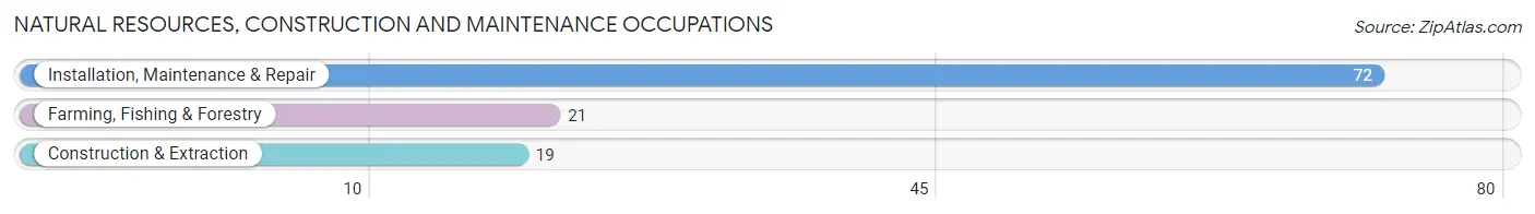 Natural Resources, Construction and Maintenance Occupations in Zip Code 51248