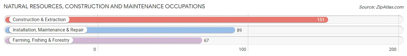 Natural Resources, Construction and Maintenance Occupations in Zip Code 51537