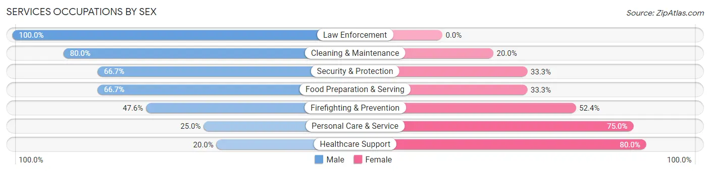 Services Occupations by Sex in Zip Code 52043