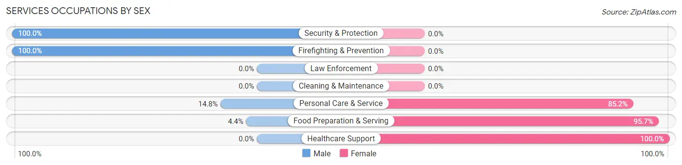 Services Occupations by Sex in Zip Code 52132