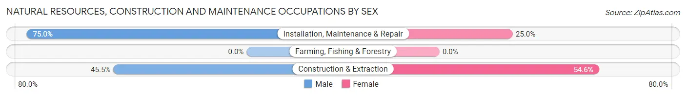 Natural Resources, Construction and Maintenance Occupations by Sex in Zip Code 52133