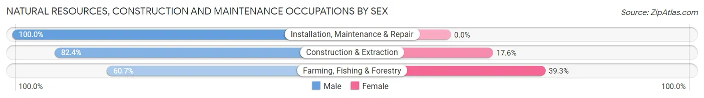 Natural Resources, Construction and Maintenance Occupations by Sex in Zip Code 52241