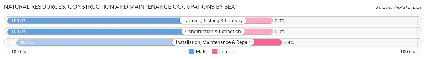 Natural Resources, Construction and Maintenance Occupations by Sex in Zip Code 52656