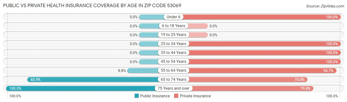 Public vs Private Health Insurance Coverage by Age in Zip Code 53069