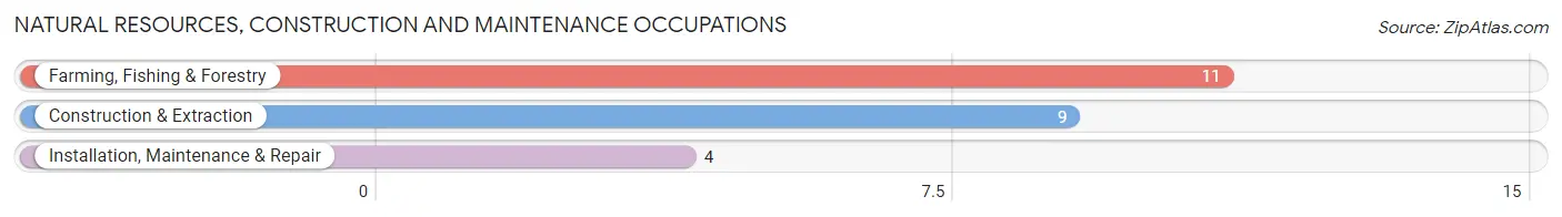 Natural Resources, Construction and Maintenance Occupations in Zip Code 53088